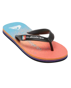 Boys Molokai Art II Flip Flops in Blue, Blue & Orange