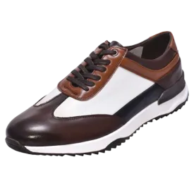 Royal Shoes Brown Multi Color casual Lace-Up Fashion Design Sneakers